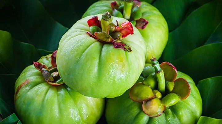 Ce este Garcinia Cambogia și cum te poate ajuta să slăbești