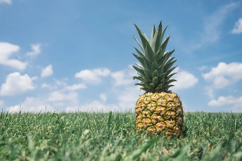 Dieta contra senzatiei de foame