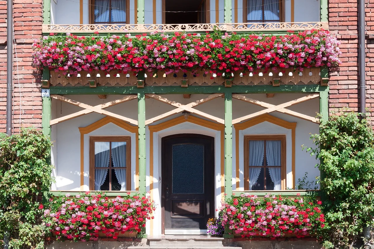 Cum îți poți uda plantele atunci când ești plecată în vacanță
