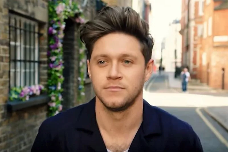 Niall Horan anunță realizarea unui spectacol pentru a strânge bani pentru echipajul său