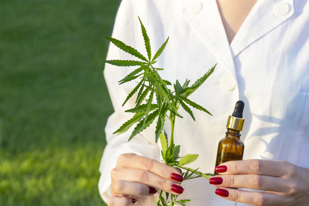Argumente în favoarea cosmeticelor cu ulei de canabis: prețul, calitatea, efectele benefice