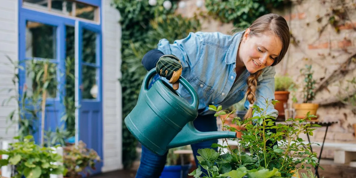 10 trucuri de acasă pentru a avea mai multă grijă de toate plantele tale
