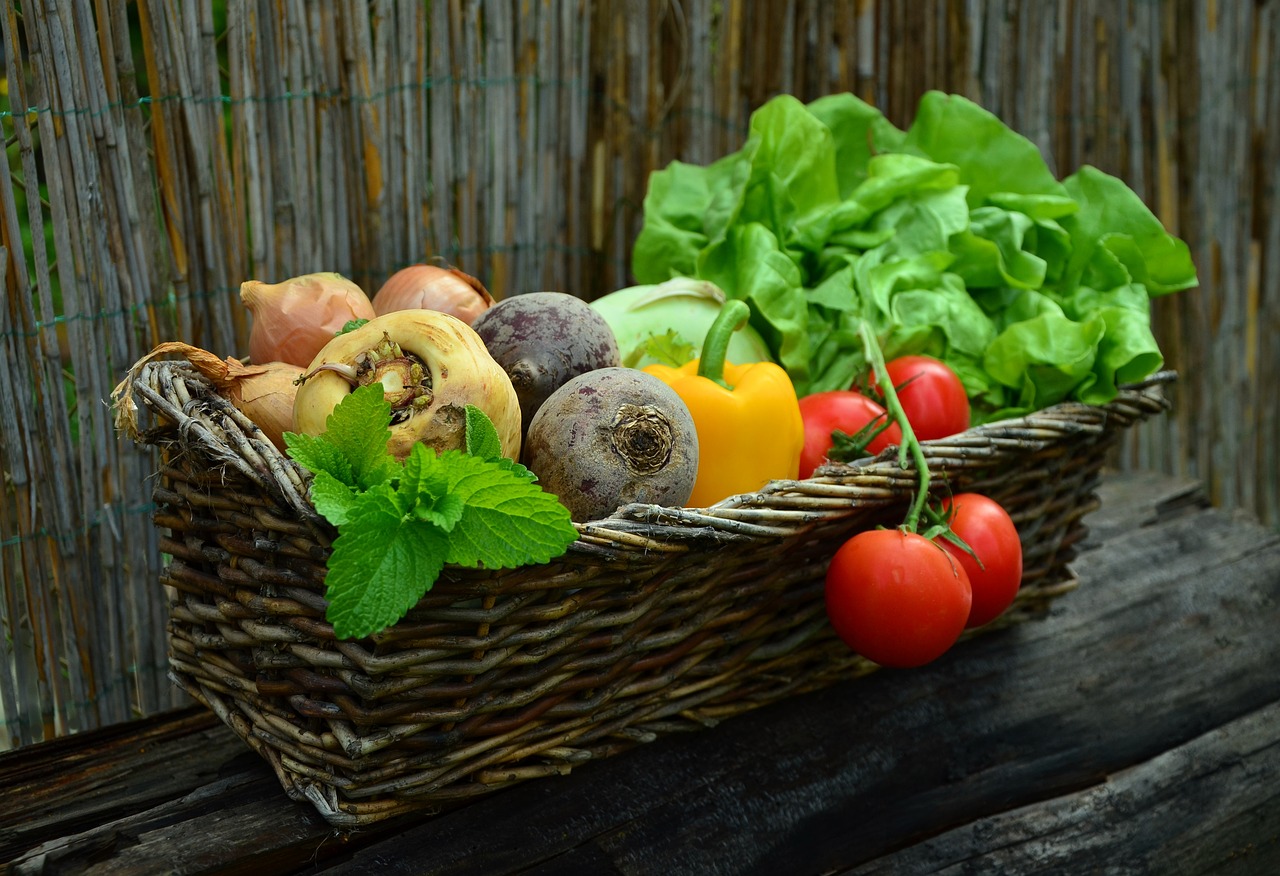 Imbinand Protectia si Prosperitatea: Relatia dintre Plasele de Umbrire si Recoltele din Serele de Legume