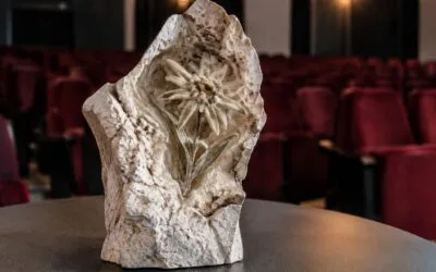 Juriul Animest.21 a ales pentru Marele Trofeu filmul „Cosmonauts”